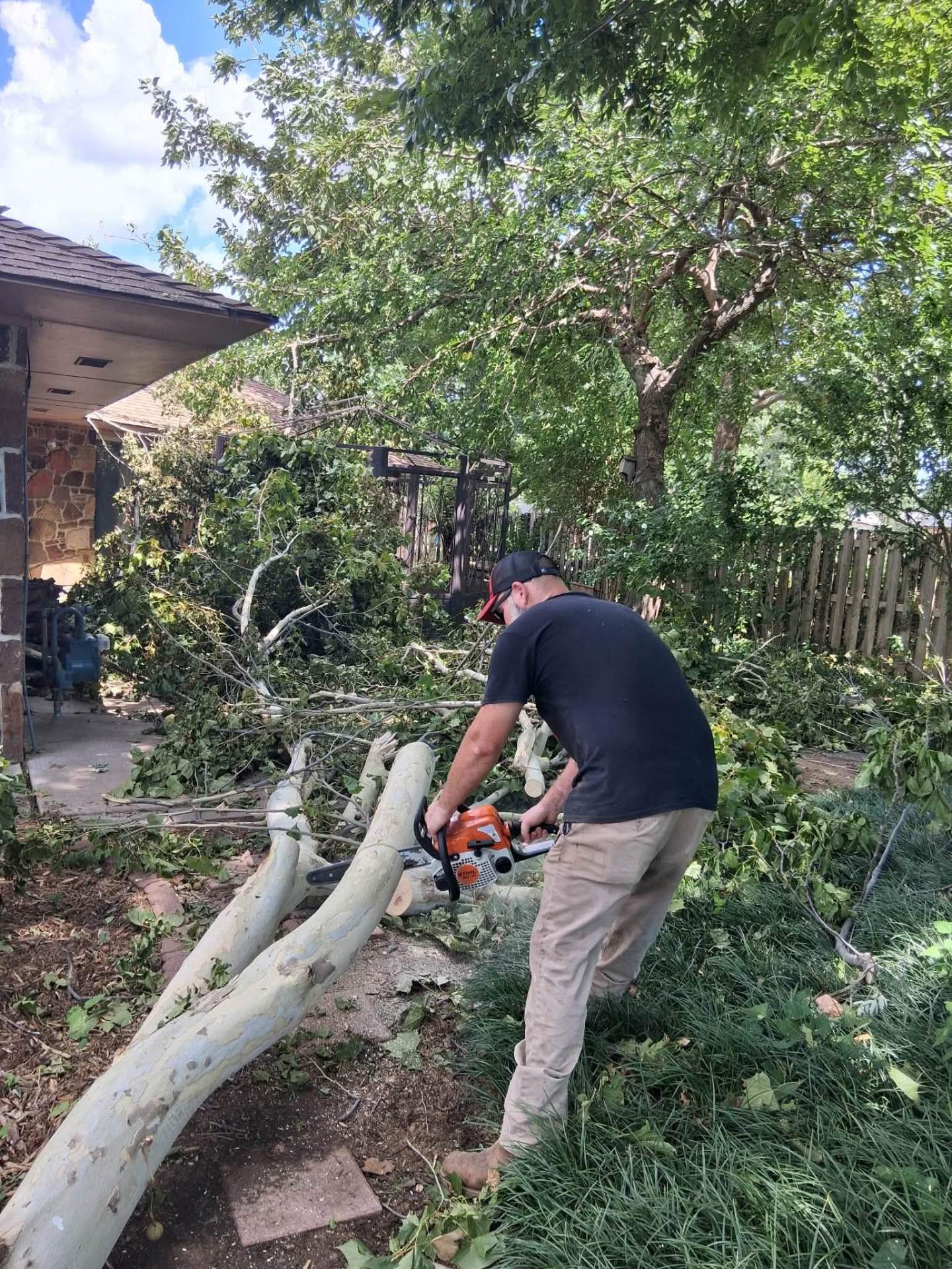 Cutting up fallen limbs