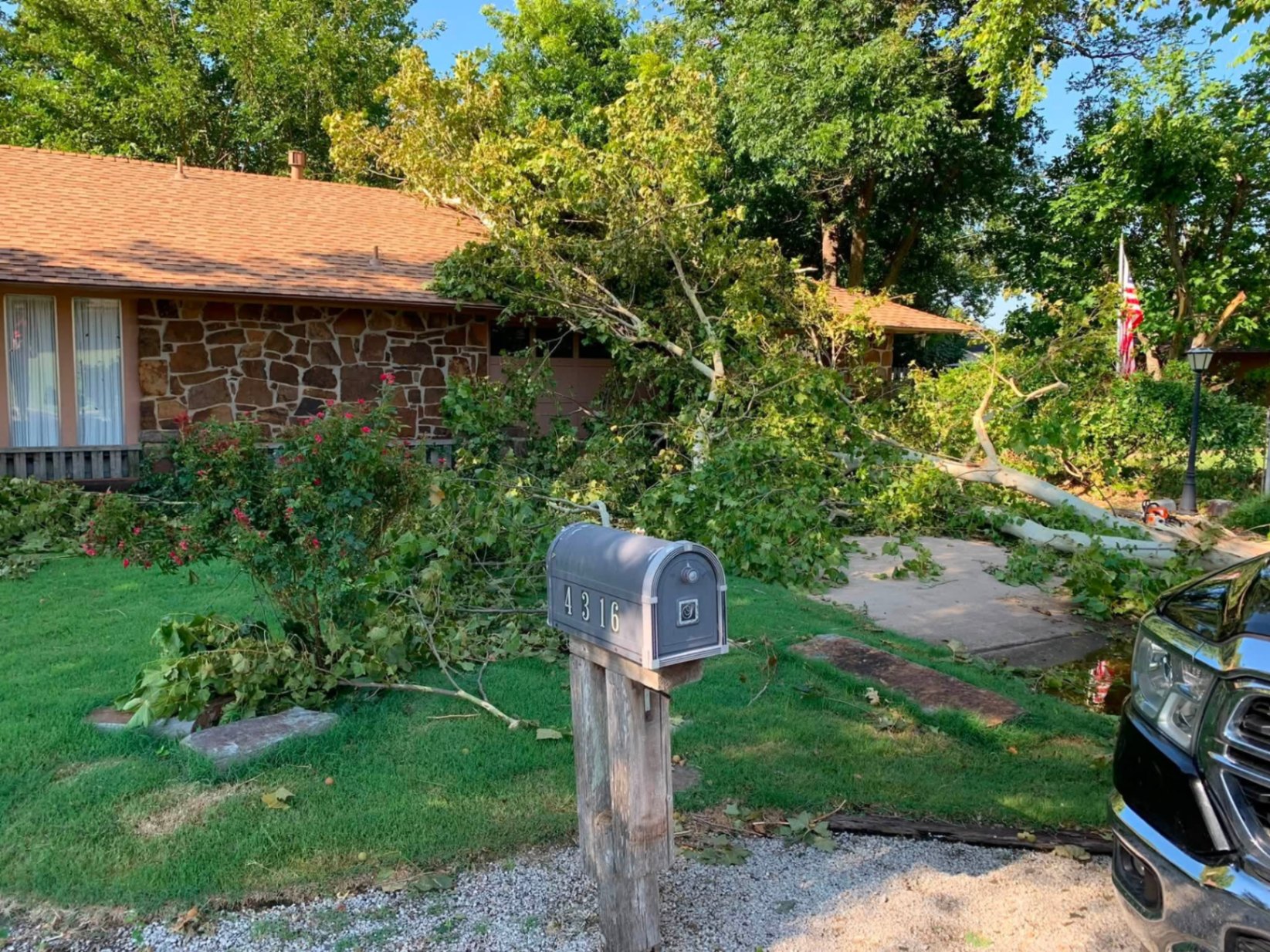 Fallen branches near a home